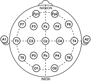 21 Electrodes Of International 10 20 System For Eeg