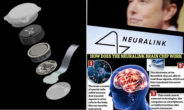 Musk Must Open Up Neuralink After Teasing Details On Human Experiments Experts Warn Forbes