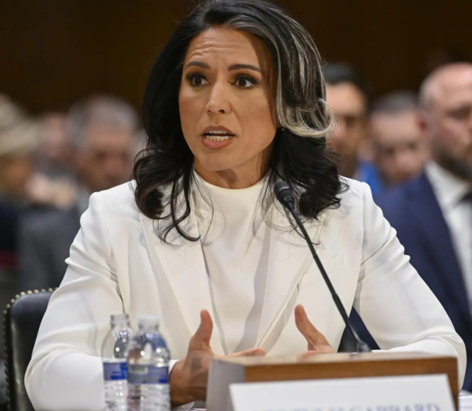 Tulsi Gabbard Hearing What Is The Havana Syndrome The Times Of India