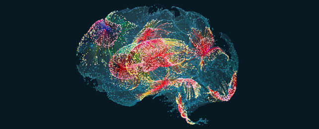 Worlds First Mind Reading Ai Translates Brainwaves Into Written Text Msn