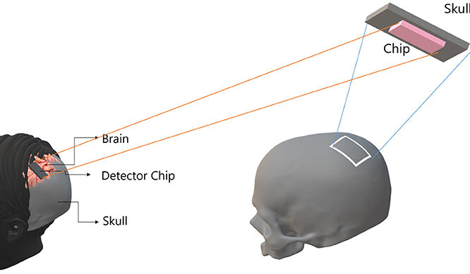 Low power brain chip predicts users intentions ieee spectrum